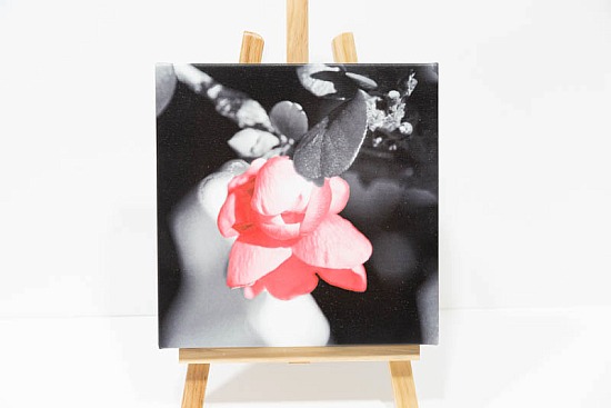 Red Flower square canvas.