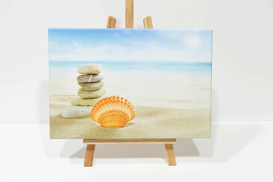 Sea Shell landscape canvas.