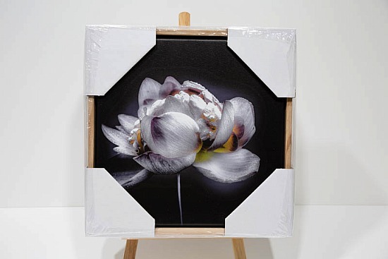Black Flower square canvas in the floating frame.